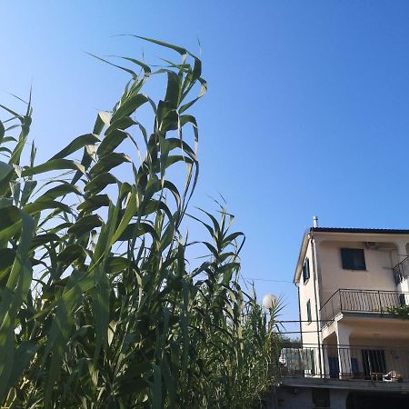 Saleto Apartma Jagodje 外观 照片