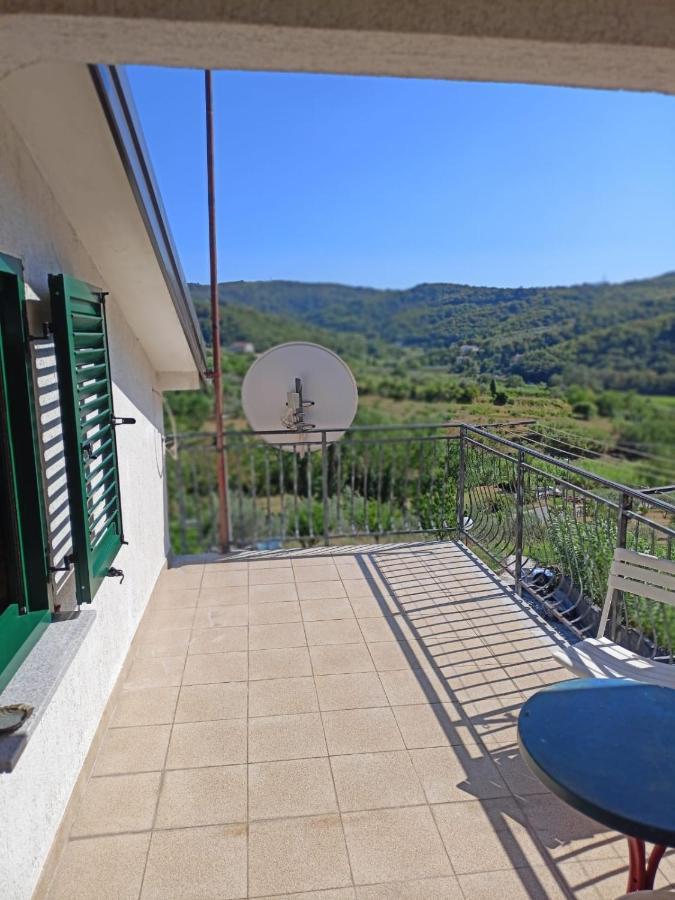 Saleto Apartma Jagodje 外观 照片