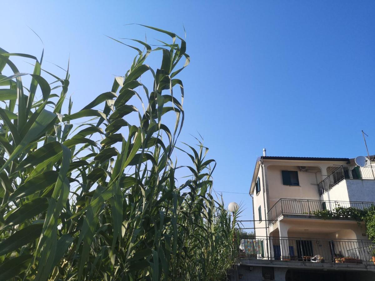 Saleto Apartma Jagodje 外观 照片