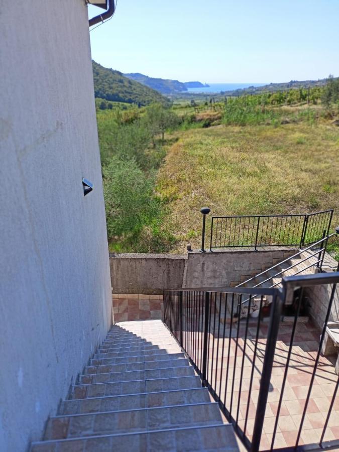 Saleto Apartma Jagodje 外观 照片