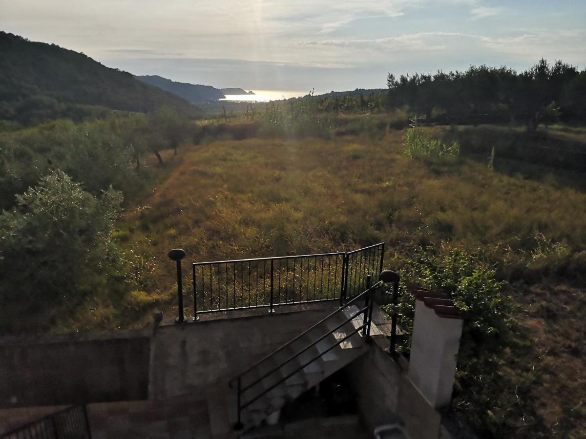 Saleto Apartma Jagodje 外观 照片